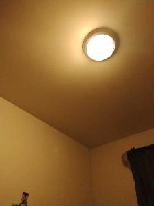 female looking to rent a studio apt or 1 BDR 1000-1200$