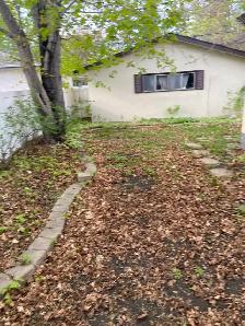 Spring cleanup - Photo 2