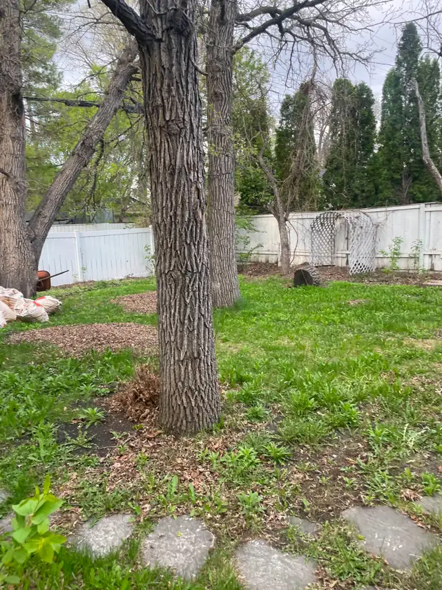 Spring cleanup - Photo 3