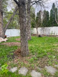 Spring cleanup - Photo 3