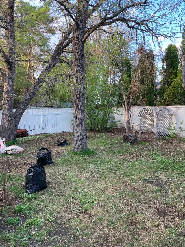 Spring cleanup - Photo 5