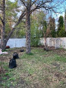 Spring cleanup - Photo 5