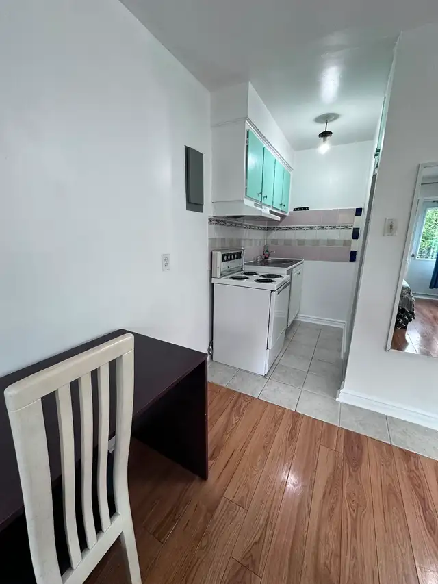 Downtown Near McGill All Included Furnitured Studio for Rent !! - Photo 4