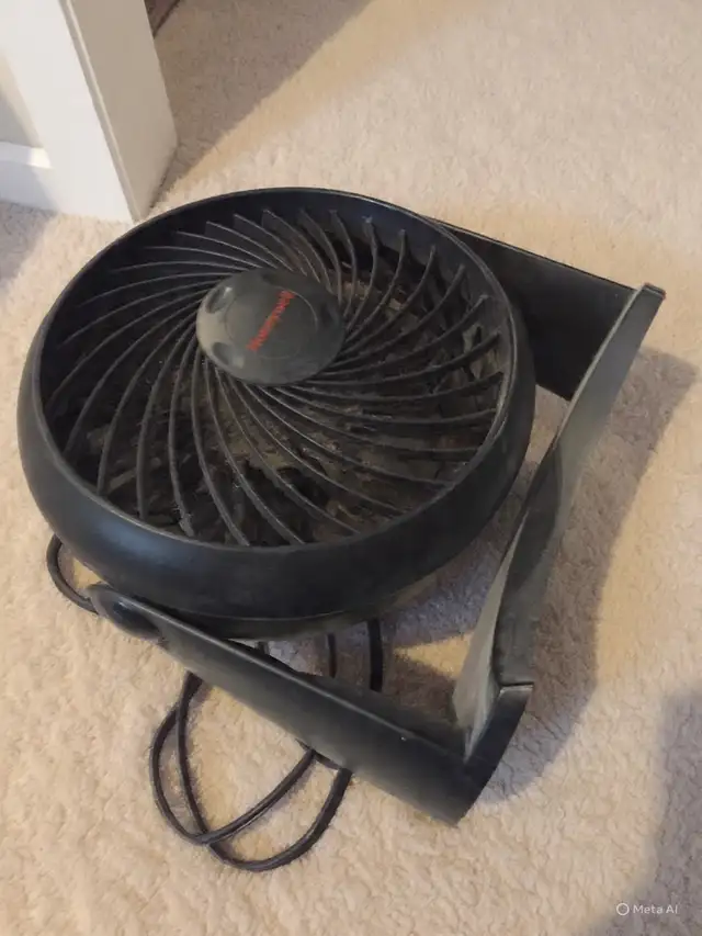 Honeywell Fan for cooling - I have lots of fans here
