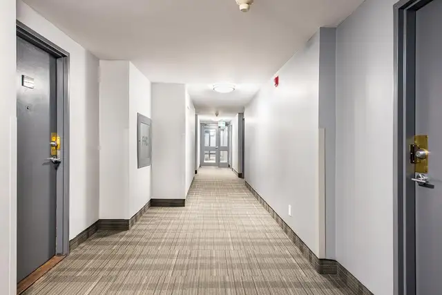 2 Bedroom Apartment for Rent - 65-85 Silver Springs Blvd - Photo 3