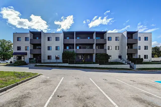 3 Bedroom Apartment for Rent - 1549-1566 Trossacks Avenue - Photo 18