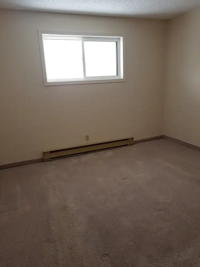 607 Leila Avenue - 2 Bedroom Apartment for Rent - Photo 8