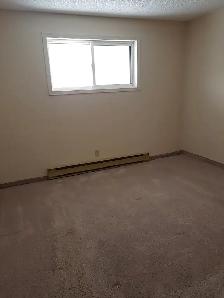 607 Leila Avenue - 2 Bedroom Apartment for Rent - Photo 8