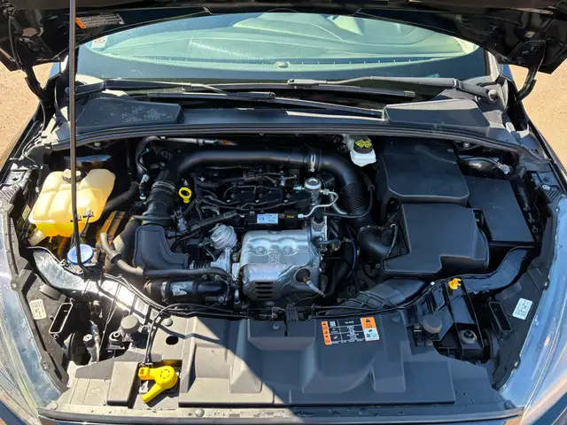 2017 Ford Focus SE Dual Zone AC! Backup Camera! Htd. Seats! - Photo 9