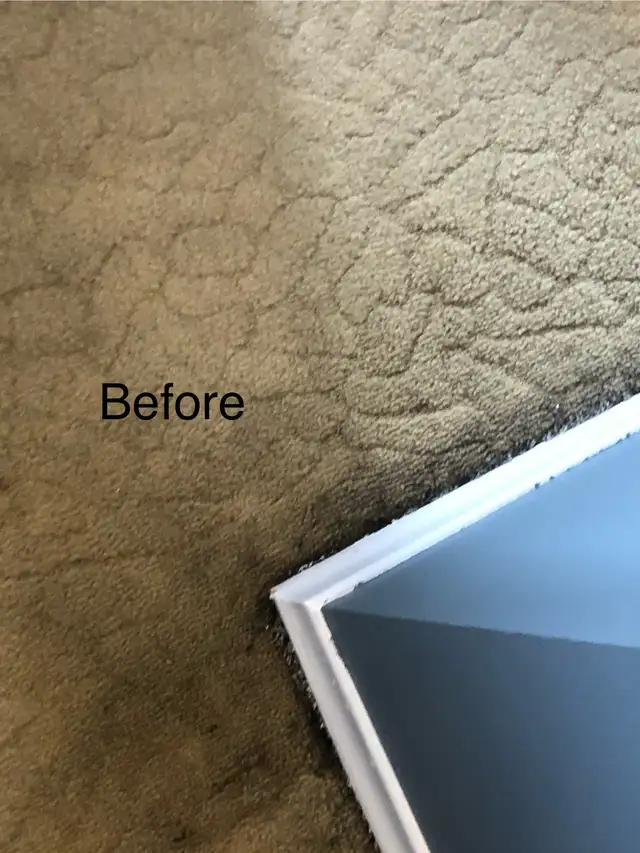 Demolition Job wall/ floor pre-renovation & Junk Removal 647-957 - Photo 7