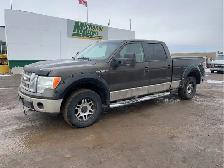 2009 Ford F-150