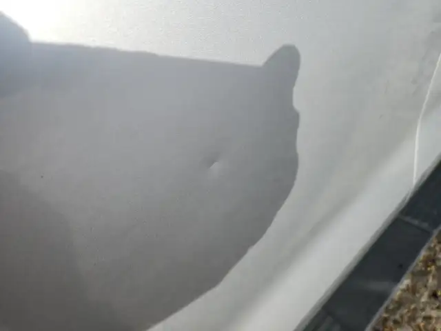 2022 Chevrolet Silverado 1500 - Photo 36