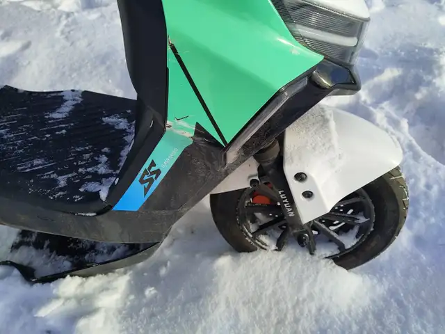 2024 Gio Portuga - Photo 15