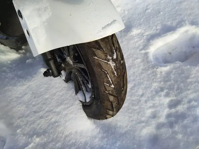 2024 Gio Portuga - Photo 26