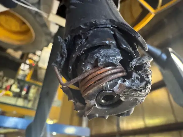 2024 Gio Portuga - Photo 28