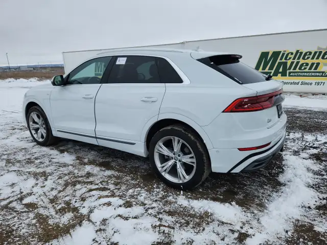 2019 Audi Q8 - Photo 3