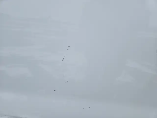 2014 Ford F-150 w/Heavy Duty Payload Package - Photo 31