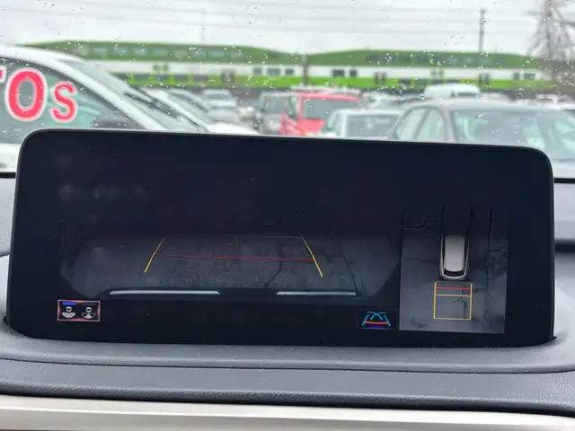 2022 Lexus RX RX 350 Executive, 360 Camera, pano Roof, Mark levi - Photo 19