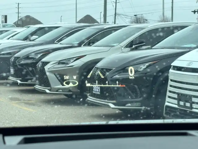 2022 Lexus RX RX 350 Executive, 360 Camera, pano Roof, Mark levi - Photo 24