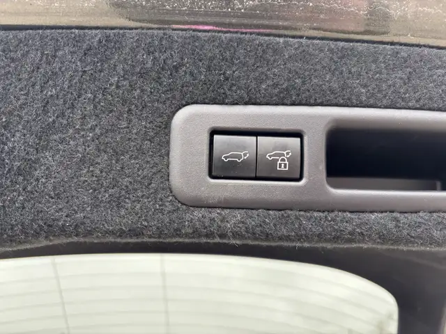 2022 Lexus RX RX 350 Executive, 360 Camera, pano Roof, Mark levi - Photo 29