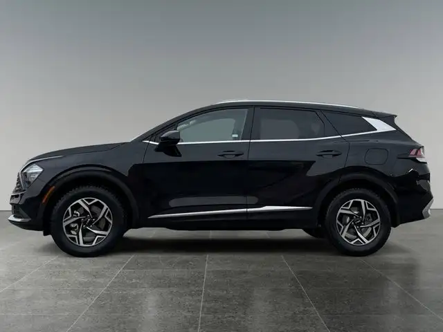2024 Kia Sportage LX - Photo 2
