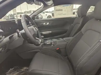 2026 Ford Mustang GT Fastback 6 SPEED MANUAL - Photo 8