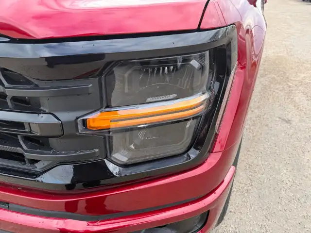 2026 Ford F-150 XLT - Photo 11