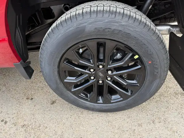 2026 Ford F-150 XLT - Photo 13