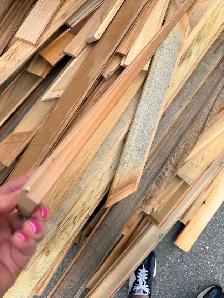 Clear Cedar T&G - Photo 3