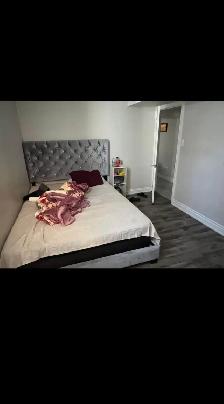 Two room basement - Photo 6