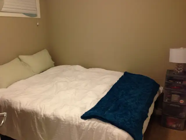 2 BED Private Entry Basement Suite | In-Unit Laundry- Timberlea - Photo 4