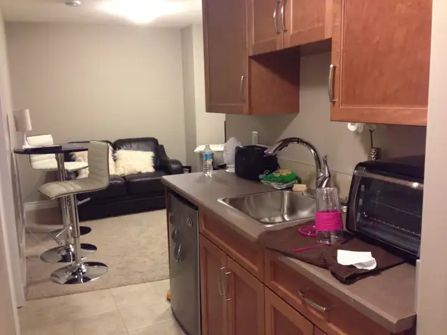 2 BED Private Entry Basement Suite | In-Unit Laundry- Timberlea - Photo 6