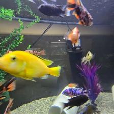 Plusieurs Ciliders  à vendre - Photo 2