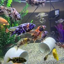 Plusieurs Ciliders  à vendre - Photo 3