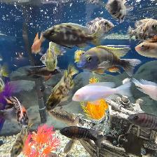 Plusieurs Ciliders  à vendre - Photo 6