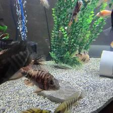 Plusieurs Ciliders  à vendre - Photo 8