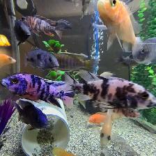 Plusieurs Ciliders  à vendre - Photo 9