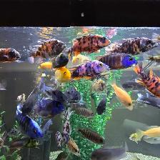 Plusieurs Ciliders  à vendre - Photo 10