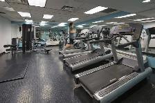 Renovated studio, Queen and Bathurst - ID 283 - Photo 11