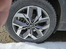 2020 Kia Sportage - Photo 6