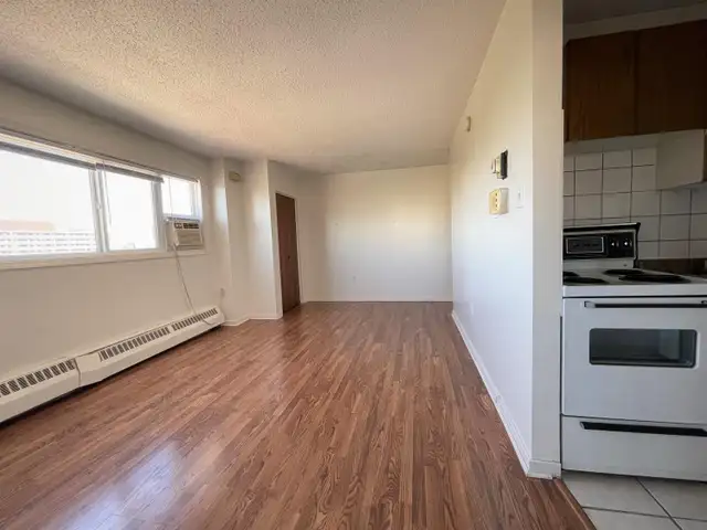 Graceland - One Bedroom Apartment for Rent - Photo 4