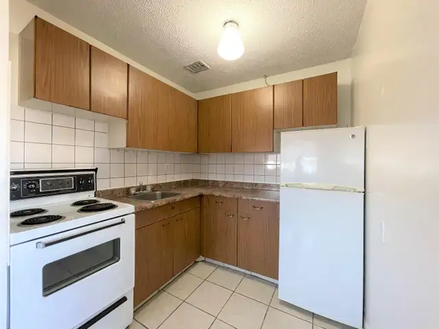 Graceland - One Bedroom Apartment for Rent - Photo 5