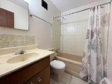 Graceland - One Bedroom Apartment for Rent - Photo 6