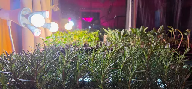 Natural Food Consultation and Supply