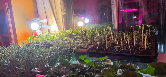 Natural Food Consultation and Supply - Photo 2