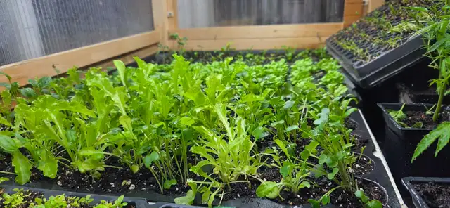 Natural Food Consultation and Supply - Photo 3