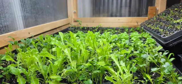 Natural Food Consultation and Supply - Photo 4