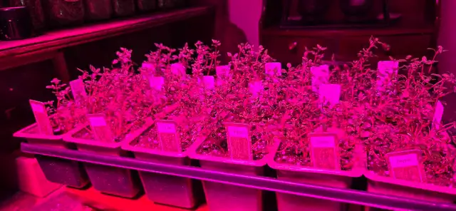 Natural Food Consultation and Supply - Photo 5