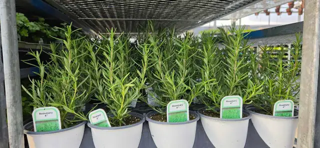 Natural Food Consultation and Supply - Photo 6