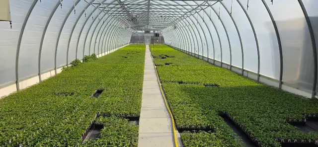 Natural Food Consultation and Supply - Photo 7